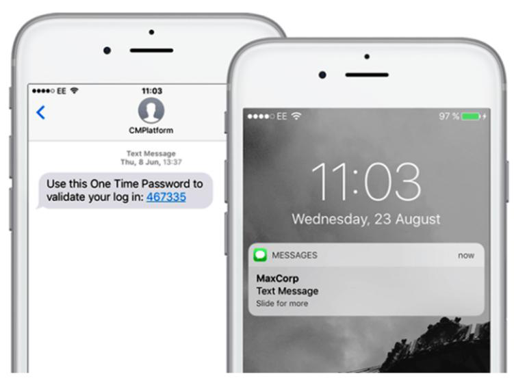 What is a One Time Password SMS?