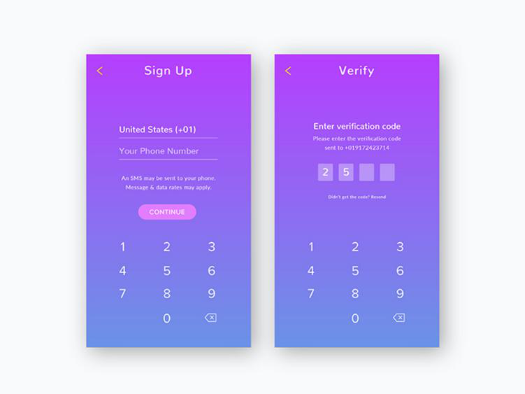  The Mysterious SMS Verification App